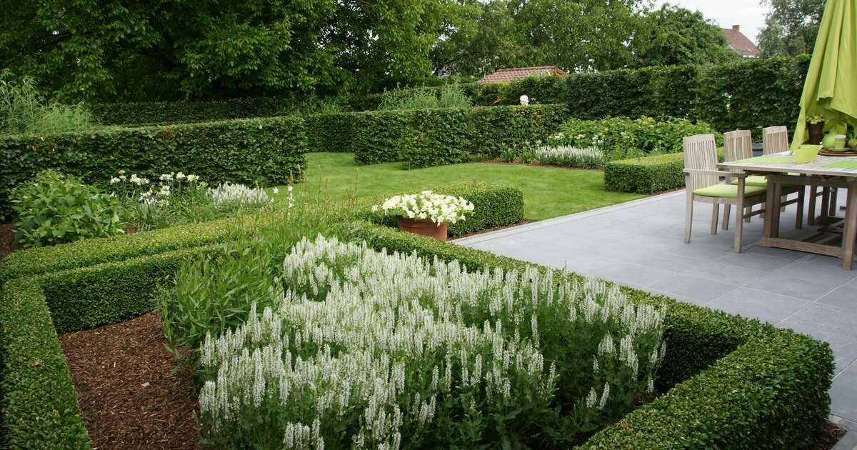 Tips voor het ontwerpen van een moderne groene tuin